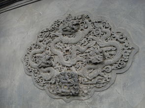 边条参，中国传统的名贵中药材